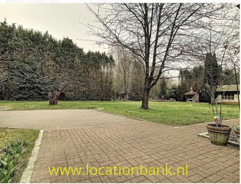 foto_37082