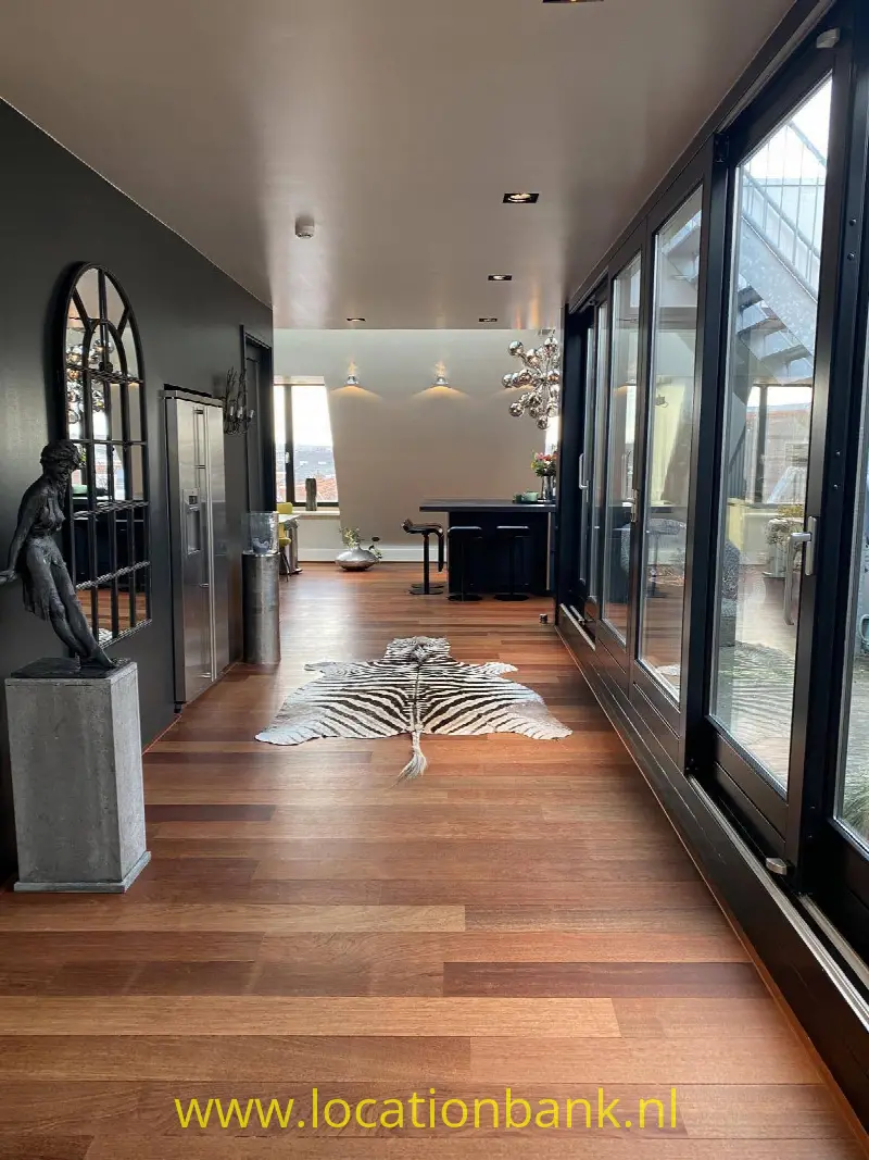 Verbinding tussen de woonruimtes en patio (overdag)