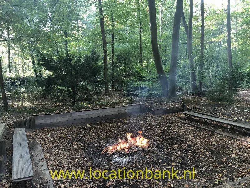 Kampvuurkuil welpen