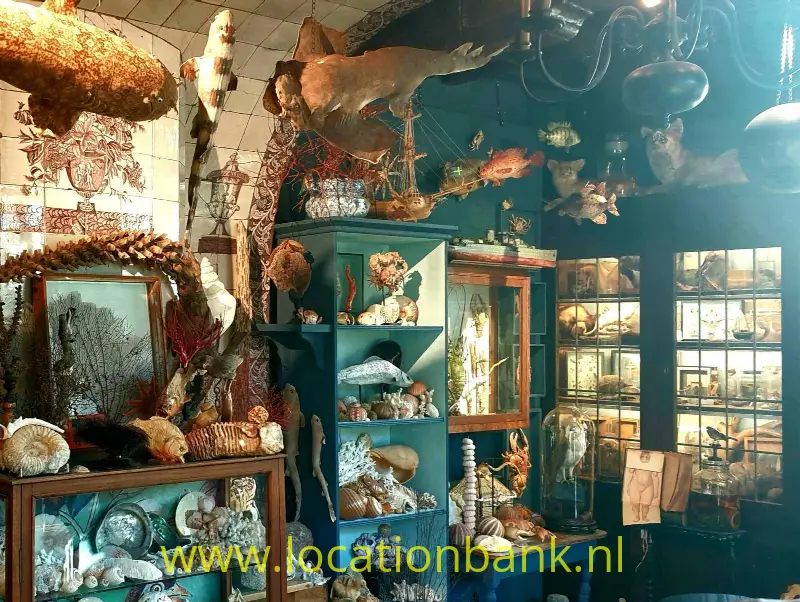 film location 3188