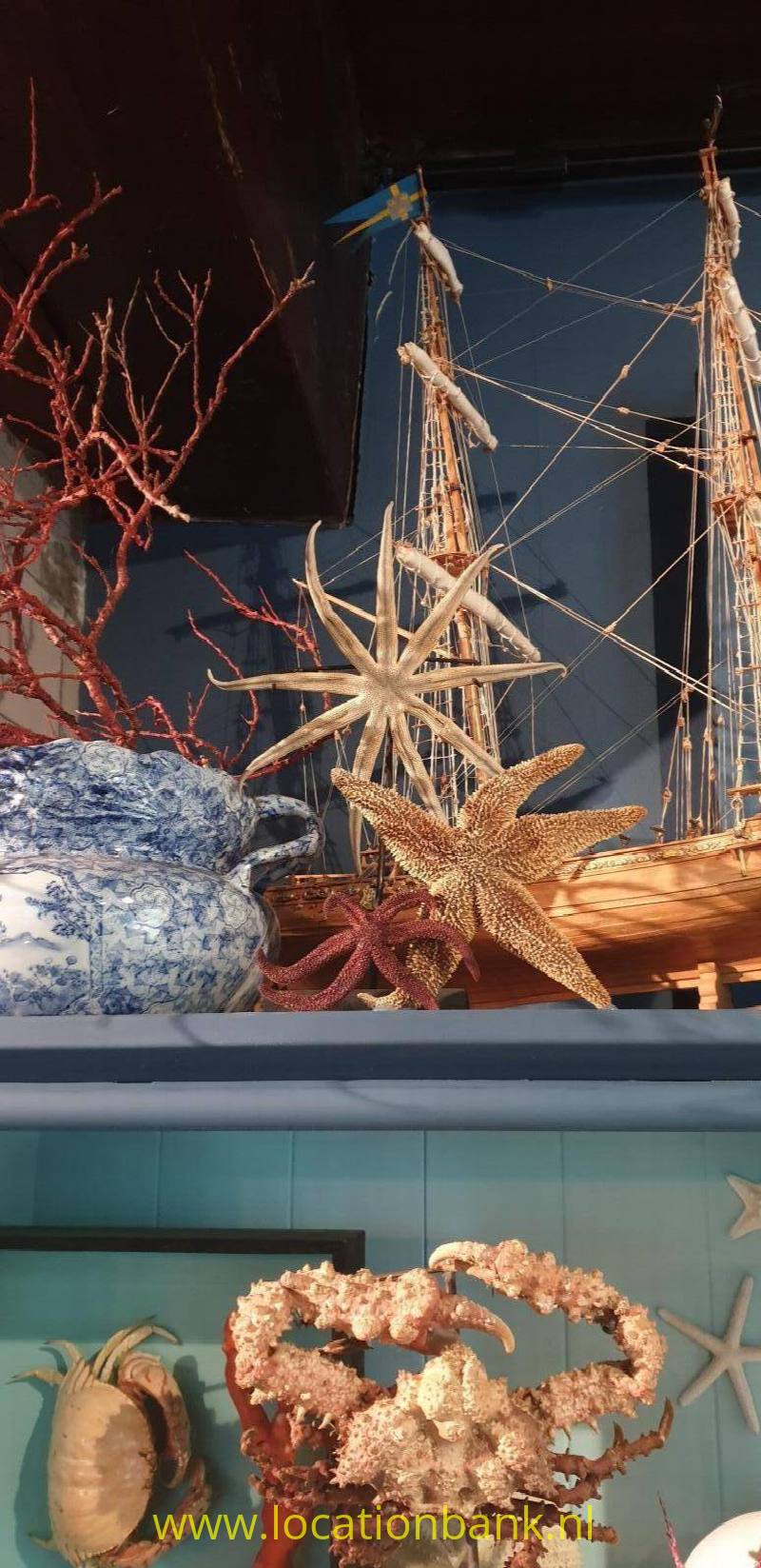 Scheepjes, krabben en koralen