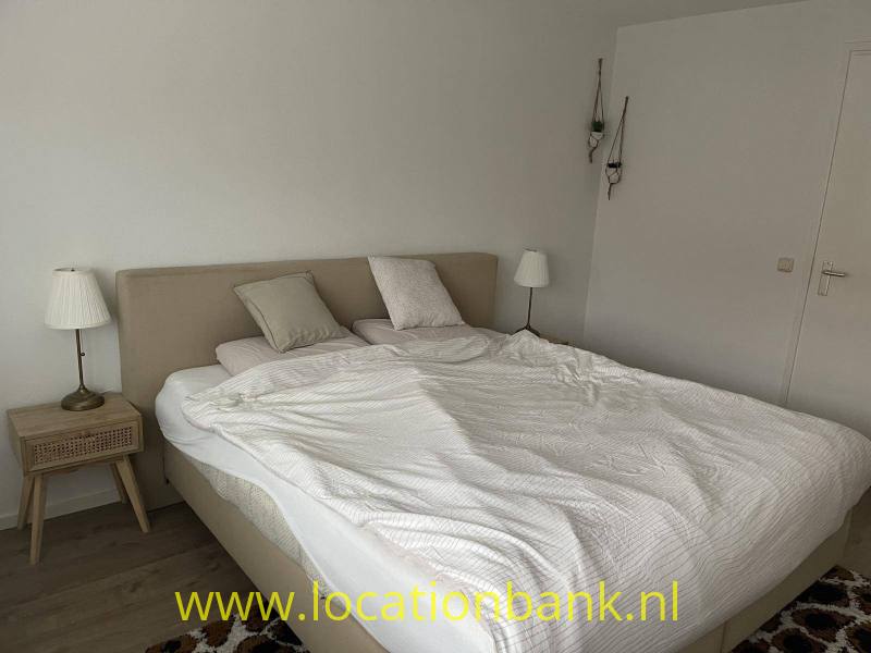 foto_38856