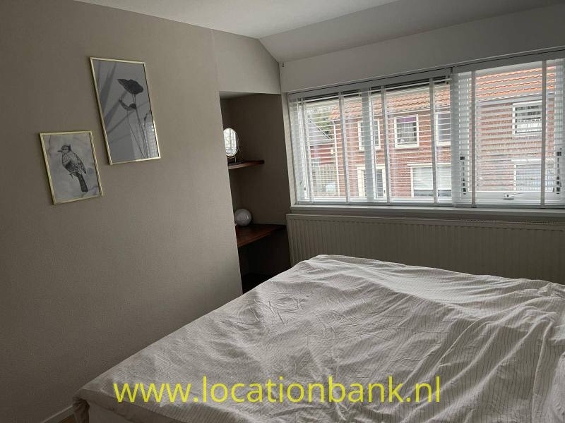 foto_38859