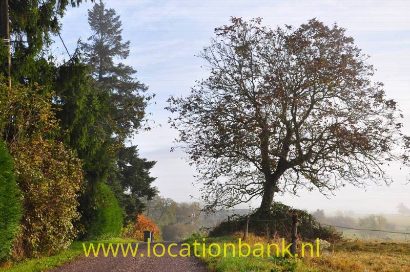 Weg zijde