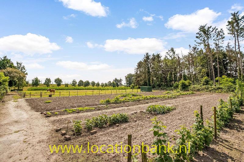 Twee paardenweien, moestuin, tuin