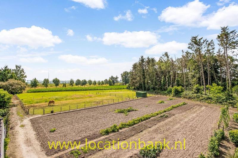 Twee paardenweien, moestuin, tuin