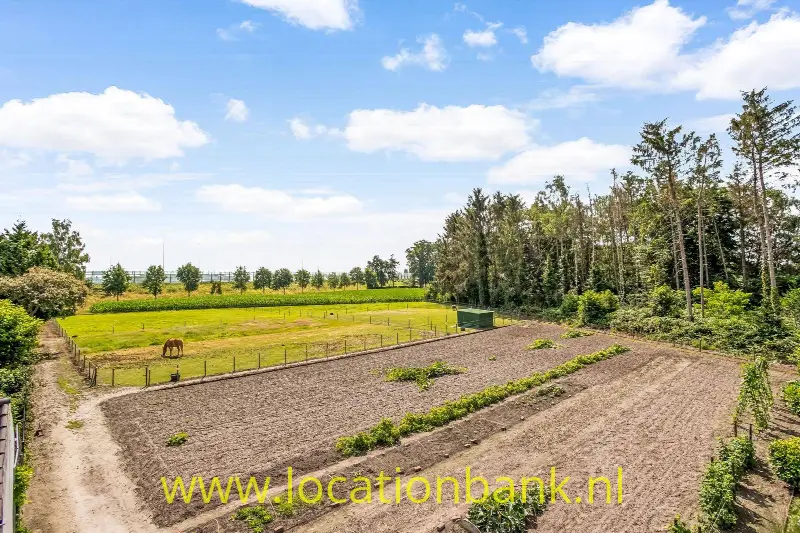 Twee paardenweien, moestuin, tuin