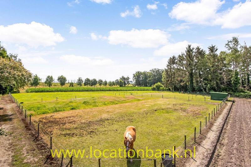 Twee paardenweien, moestuin, tuin