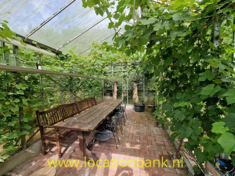 kas plantenkas