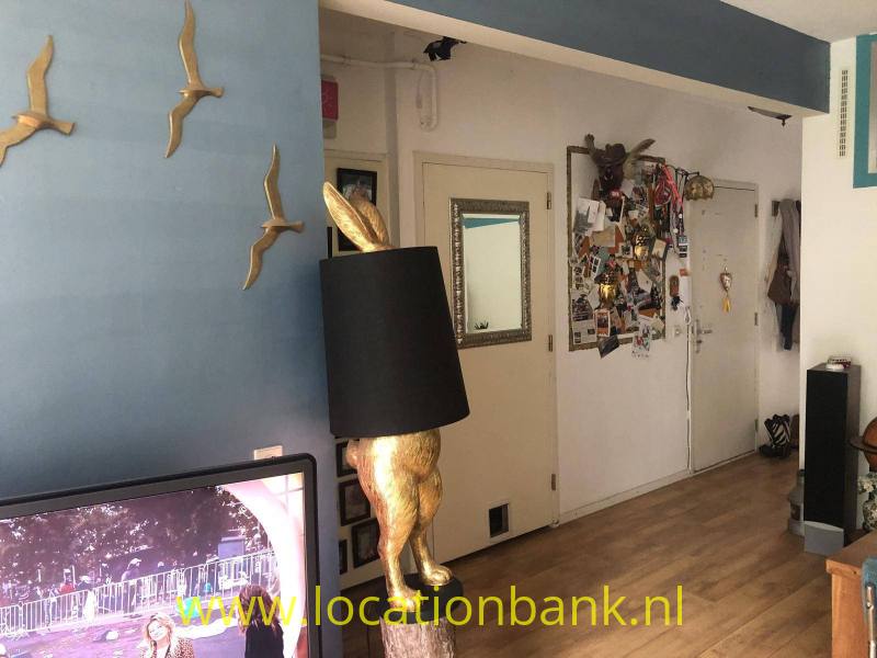 foto_40228
