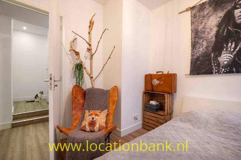 foto_41766