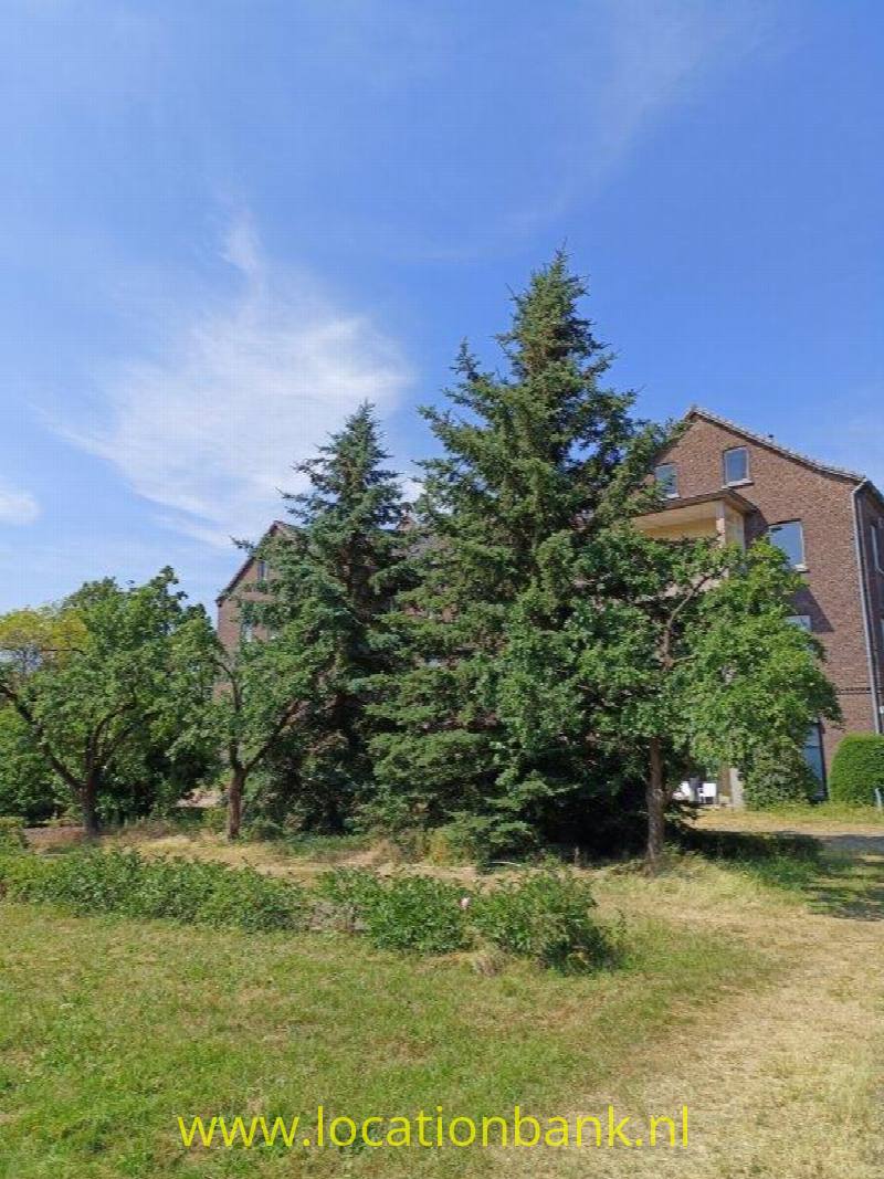 foto_48103