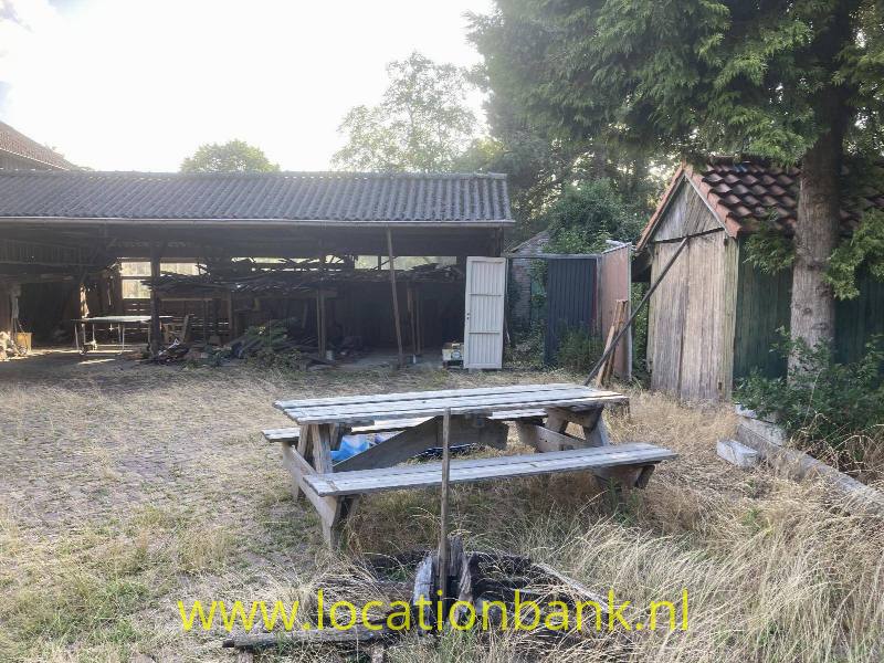 foto_42137