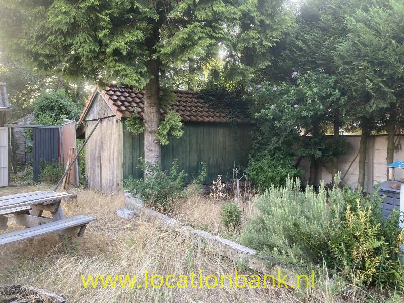 foto_42140