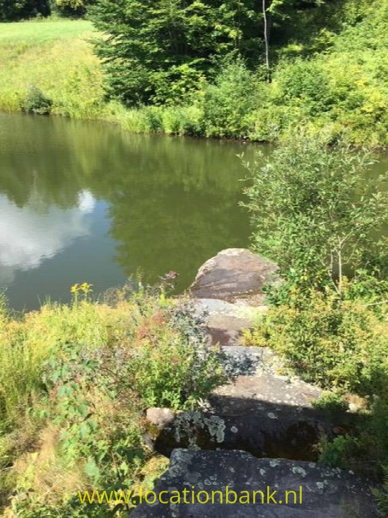 foto_42236