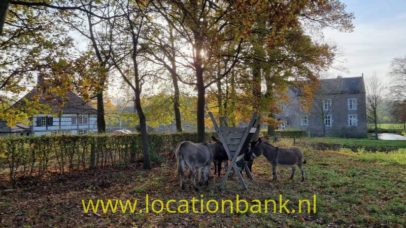 foto_43126
