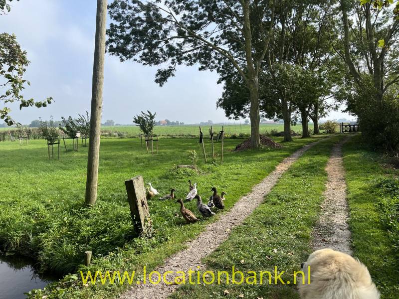 foto_42874
