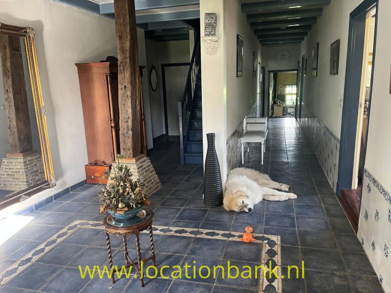 foto_50457