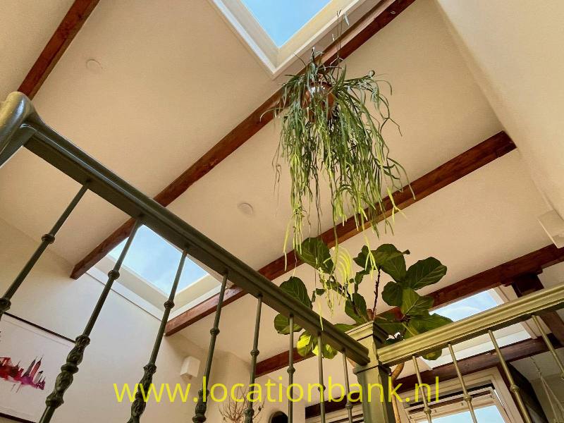 foto_43158