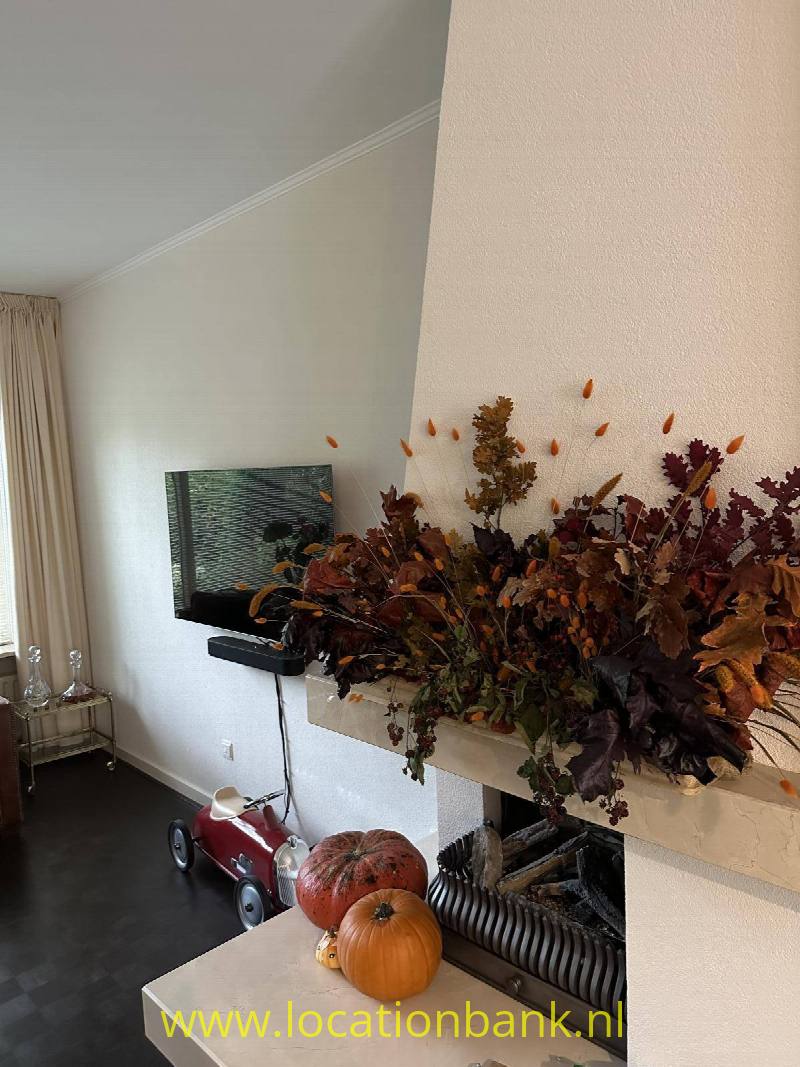 foto_43370