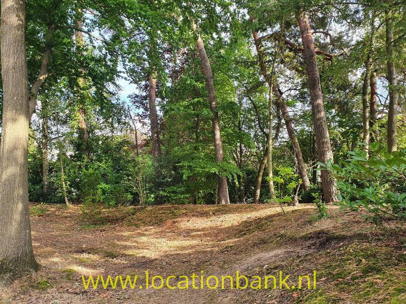 foto_44533