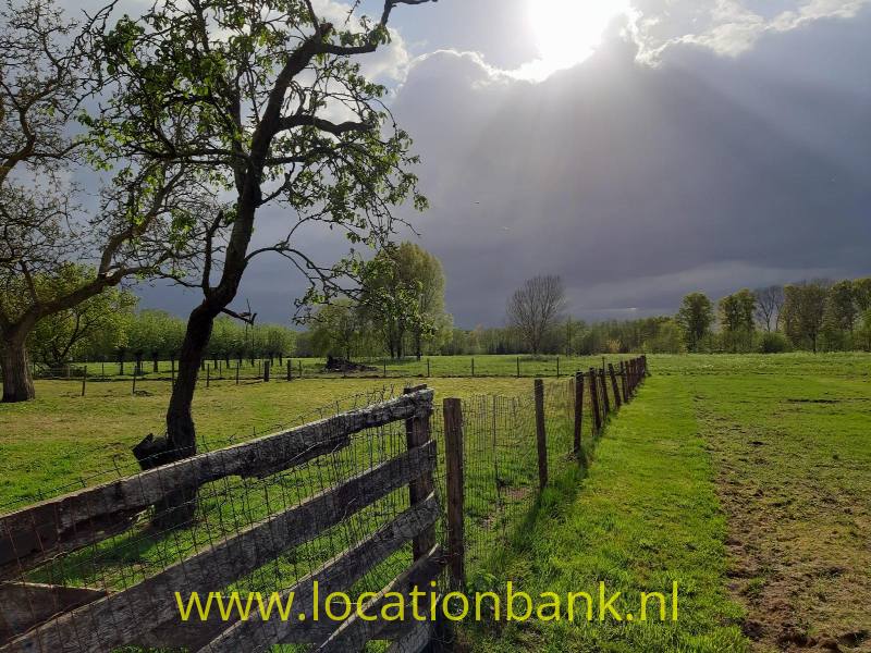 foto_50174