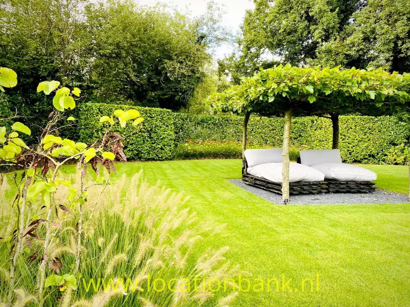 Achtertuin