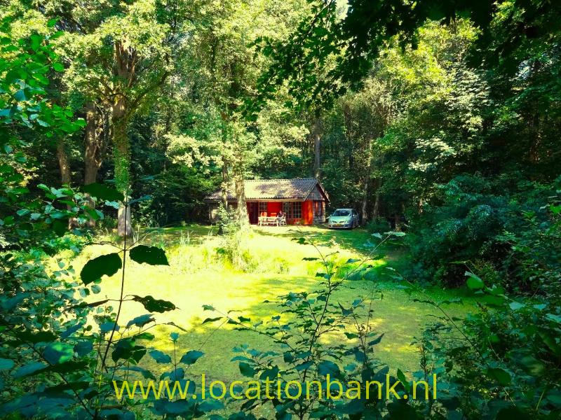foto_46275