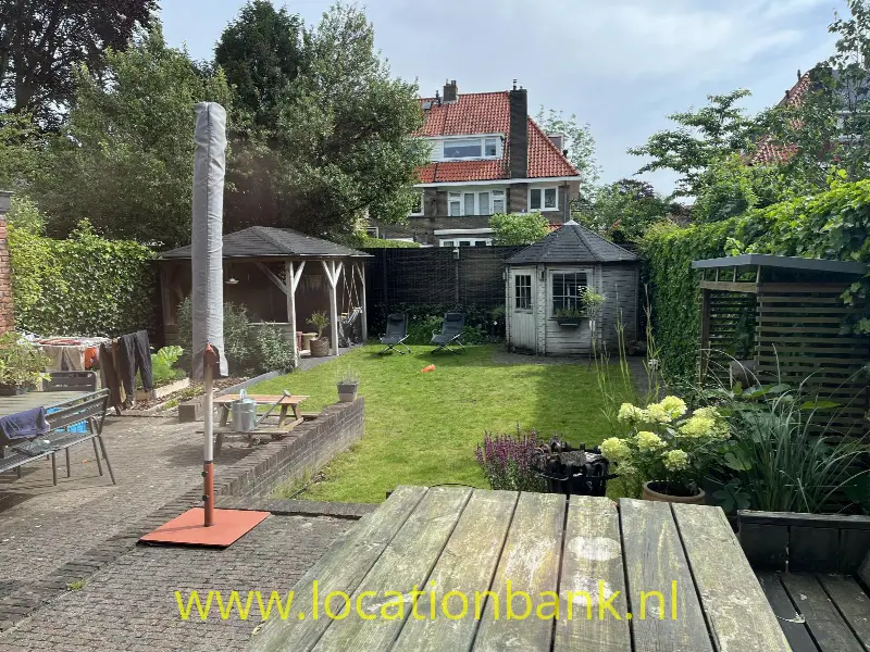 tuin