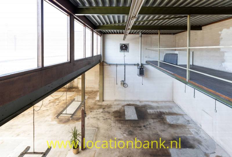 foto_46147