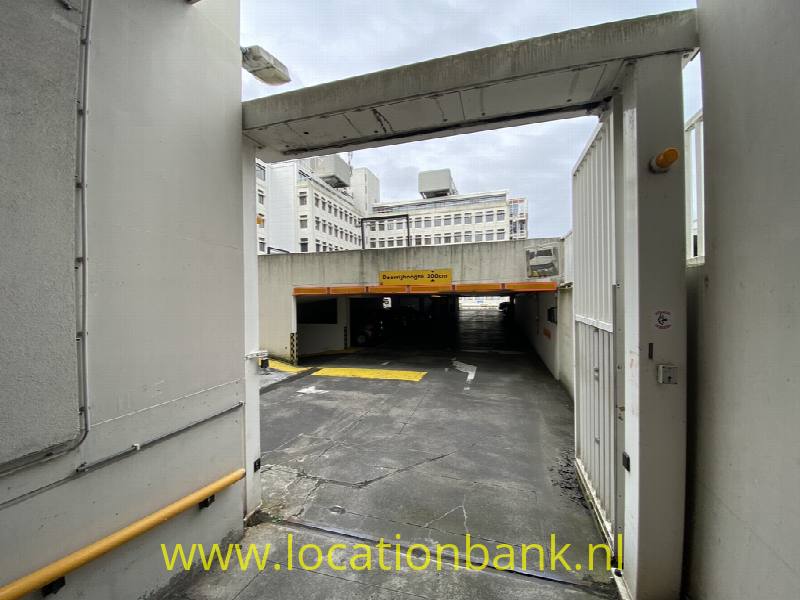 foto_46971