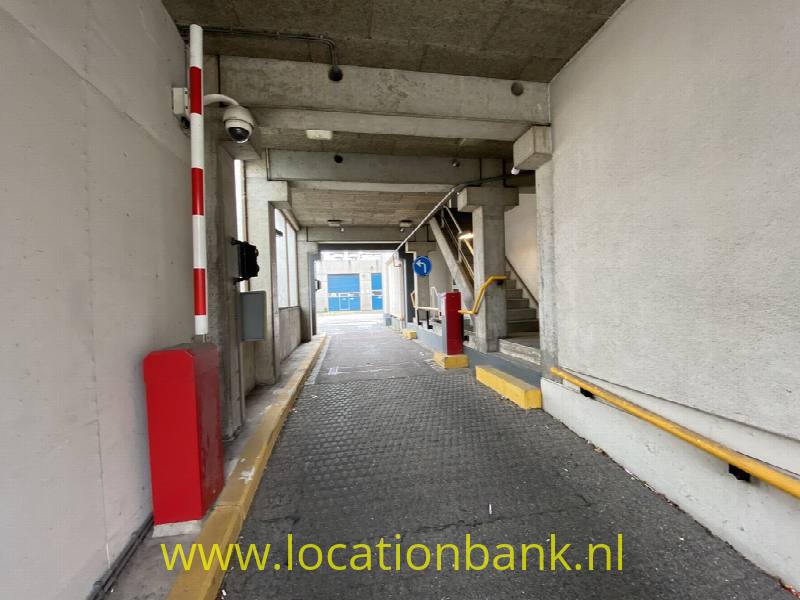 foto_46973