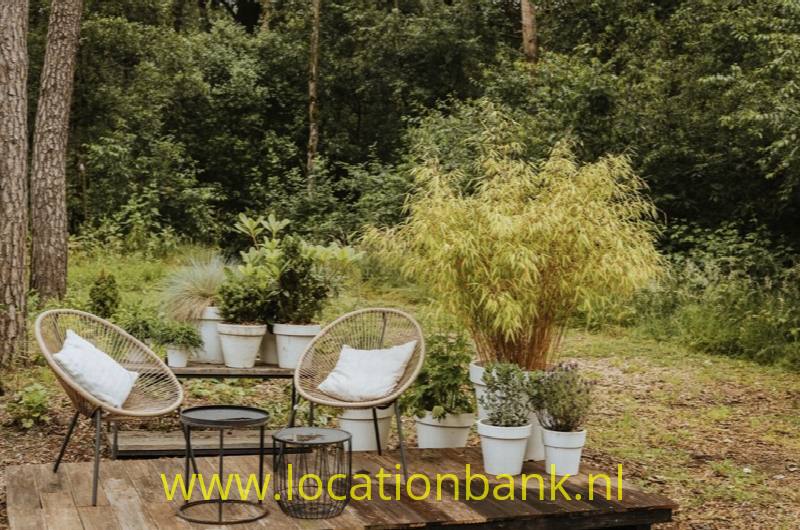 foto_46575