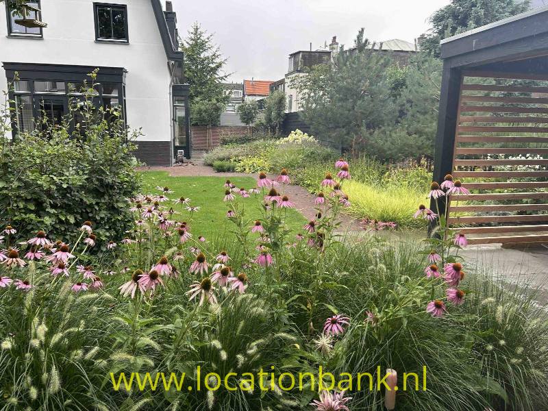 foto_46860