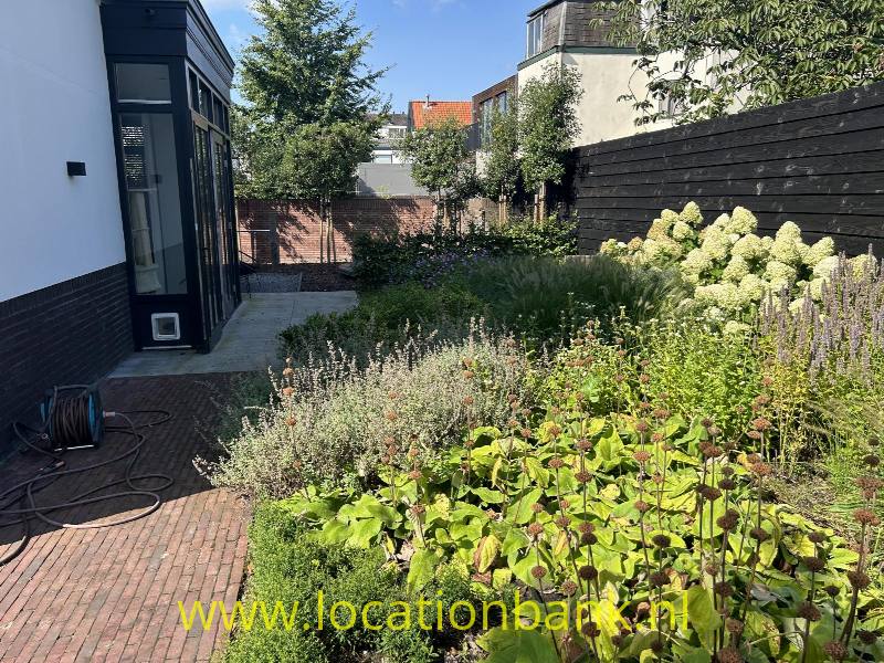 foto_47066