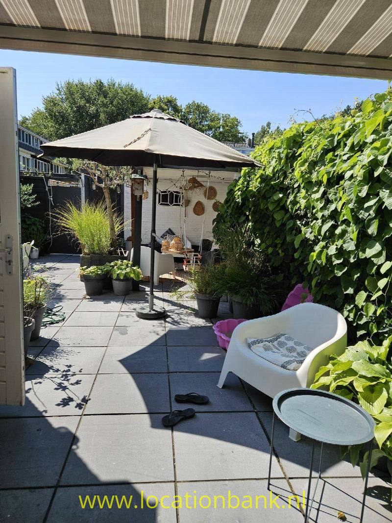 foto_47219