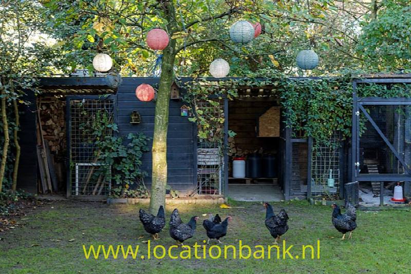 foto_48361