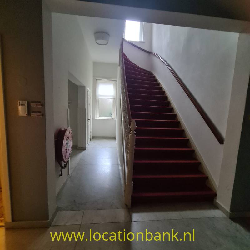 foto_49490