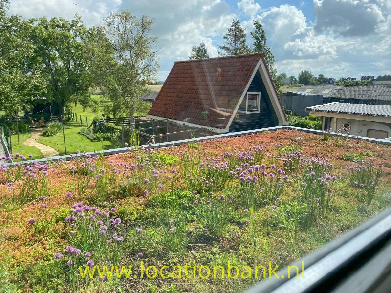 foto_50423