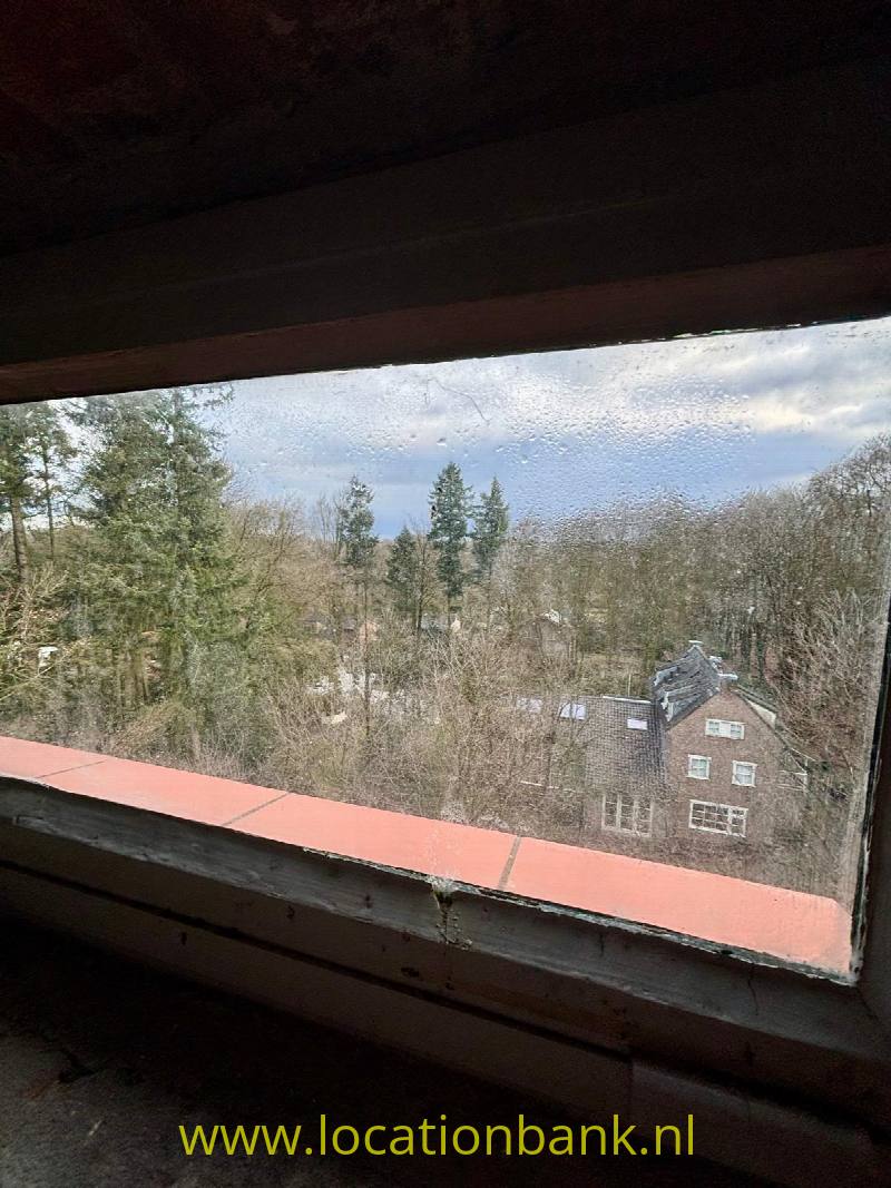 foto_49791
