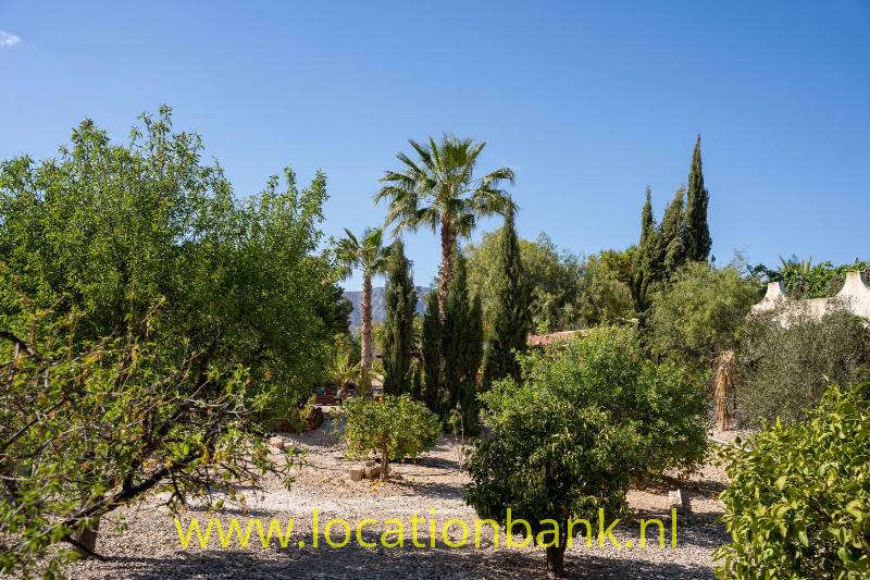 foto_48995