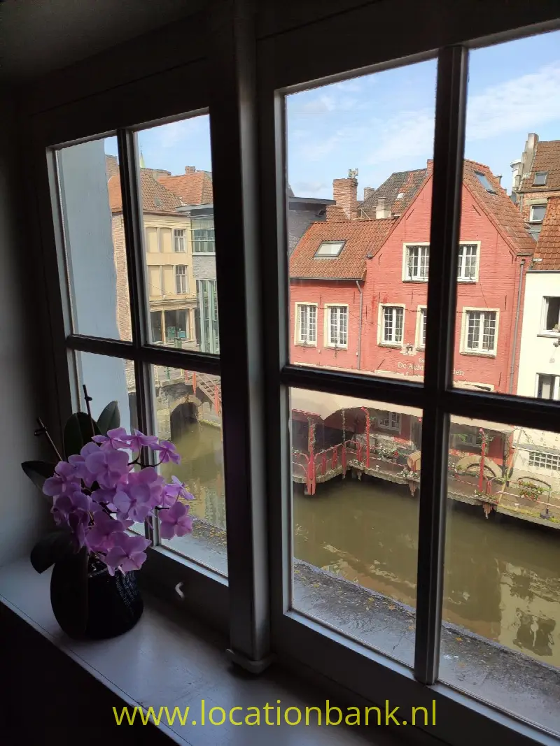 Zicht uit het raam (lente)