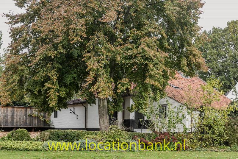 foto_49375