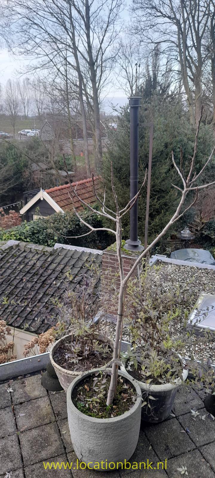 foto_49388