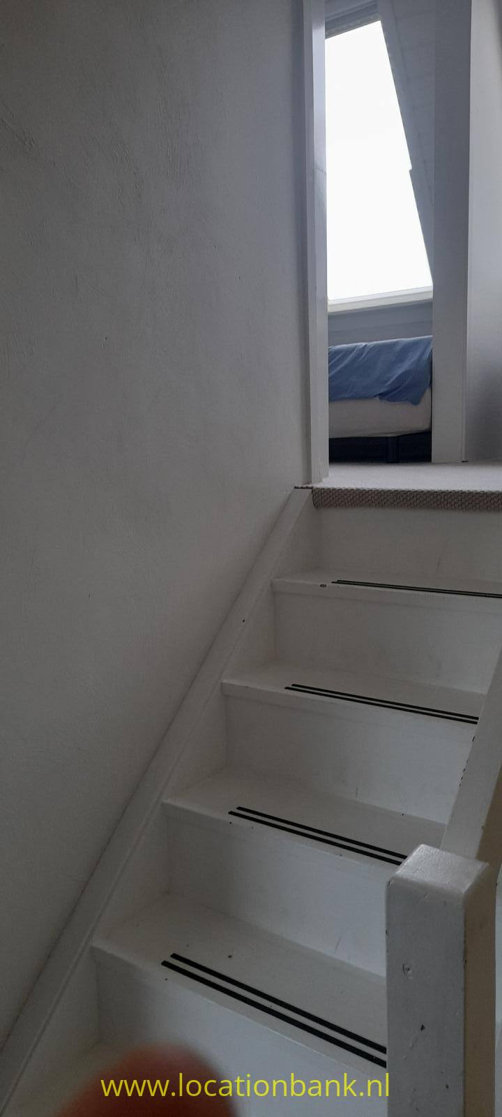 foto_49393