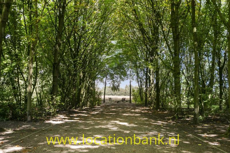 foto_50088