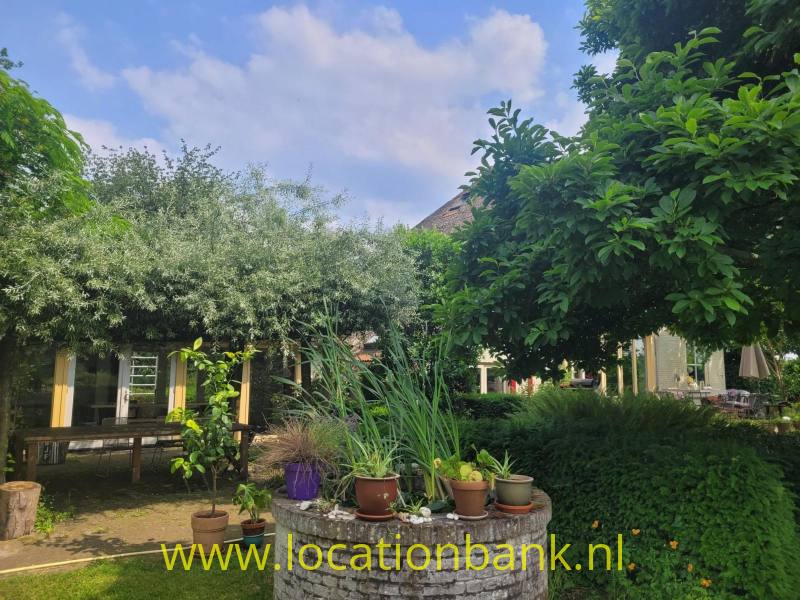 foto_50338