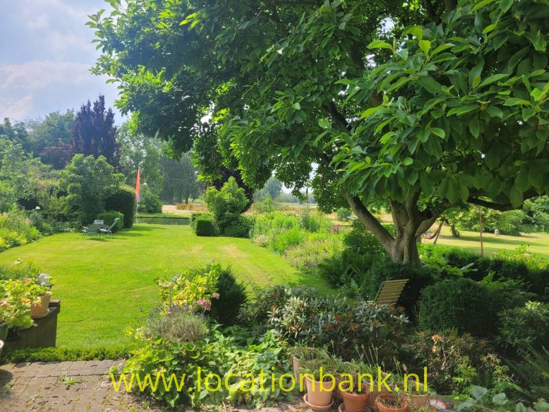 foto_50341