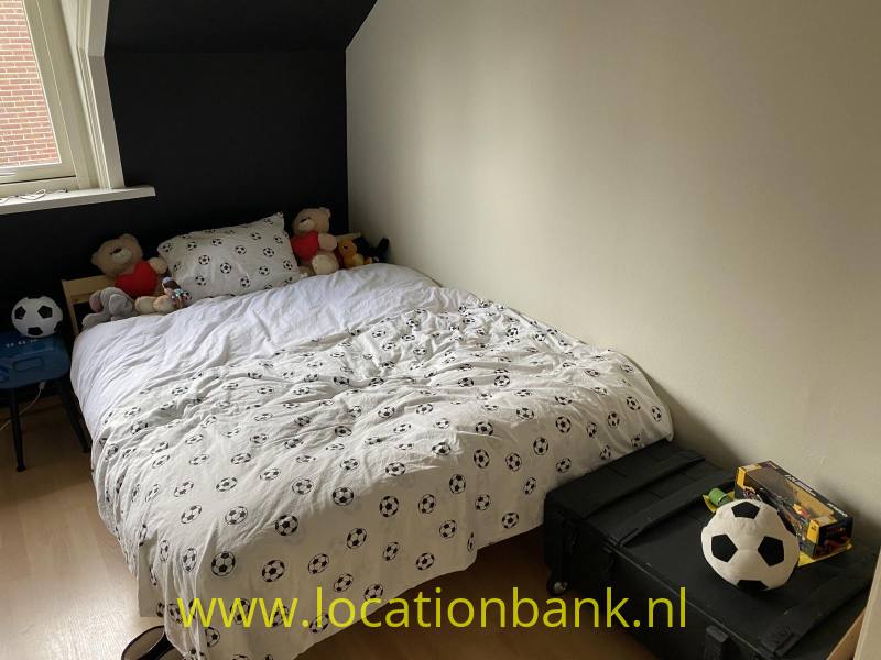 foto_50553