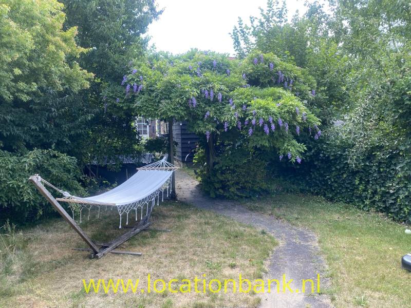 foto_50559